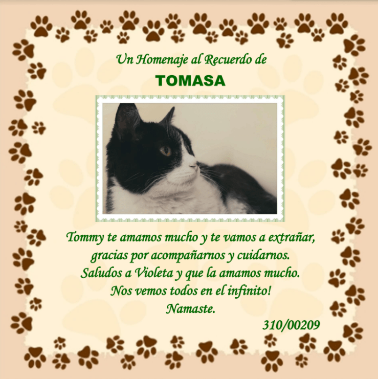 Siembra de cenizas de mascotas - Image 2