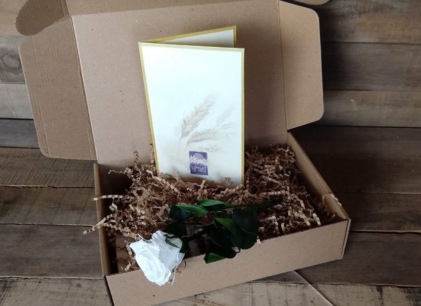 espigas de vida oro con rosa blanca