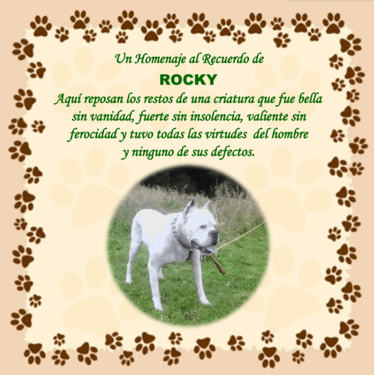 Siembra de cenizas de mascotas - Image 4